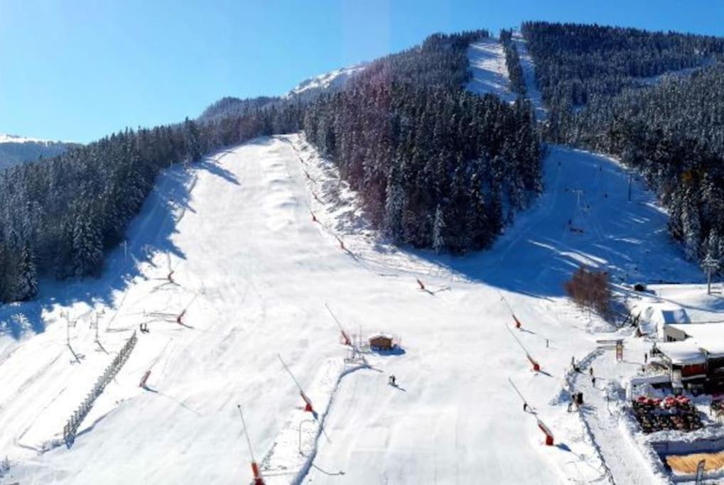 Grand Studio A La Montagne 阿克斯莱泰尔姆 外观 照片